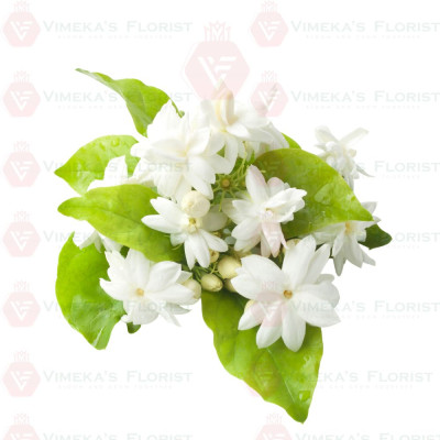 Jasmine Flower (100G) - மல்லிகைப் பூ
