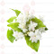 Jasmine Flower (100G) - மல்லிகைப் பூ