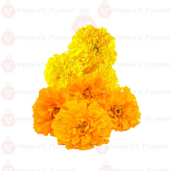 Marigold Flower (100G)