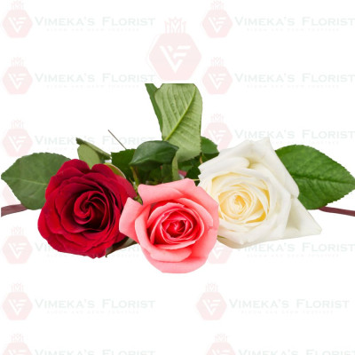 Single Rose (Each)