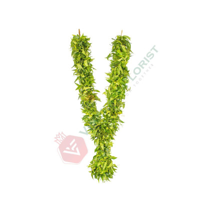 Vepillai Garland