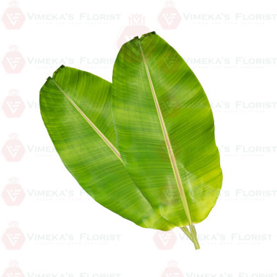 Banana Leaf (Each) - வாழை இலை