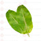 Banana Leaf (Each) - வாழை இலை