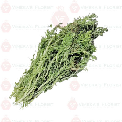 Marikolunthu Leaves (50G) - மரிக்கொழுந்து இலை