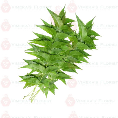 Neem Leaves (100g) - வேப்பிலை
