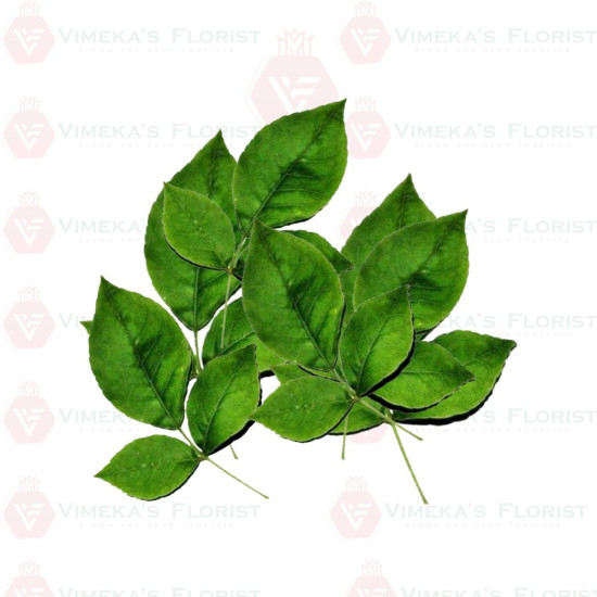 Vilvam Leaves (10) - வில்வம் இலை