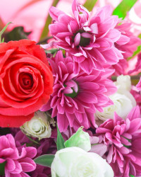 Special Occasions