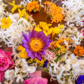 Pooja Flower